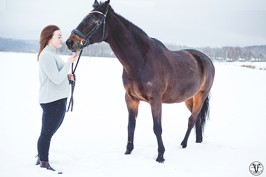 Porträttfoto Häst, Fotograf Evelina Eklund Hassel i Jönköping och Karlstad
